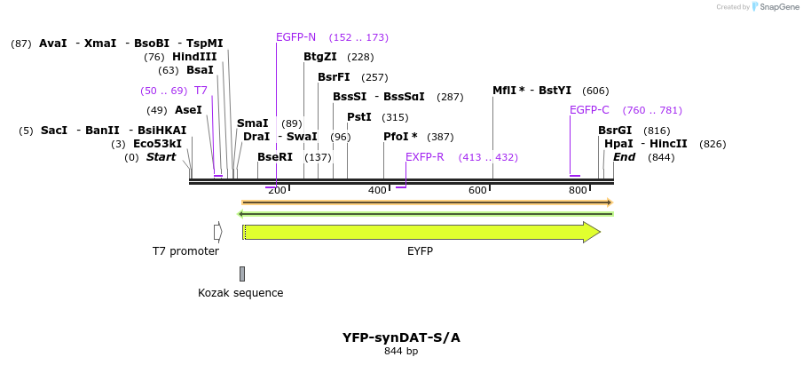 76458_map