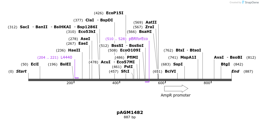 76462_map