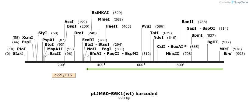 76471_map