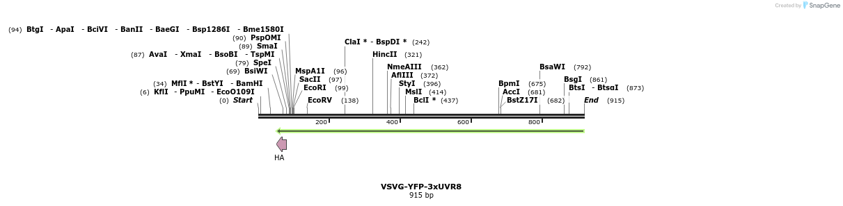 76477_map