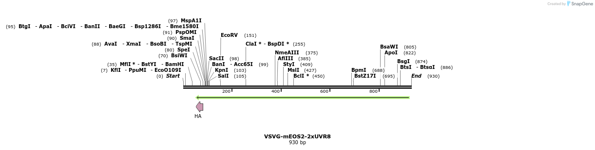 76479_map