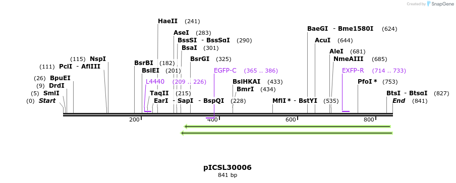 76481_map