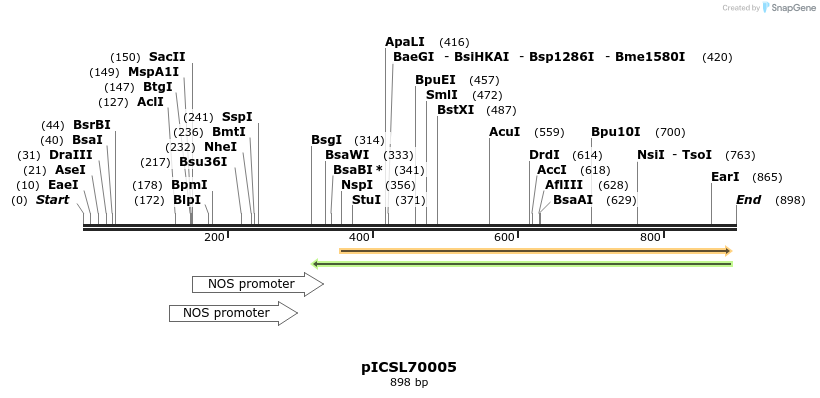 76487_map