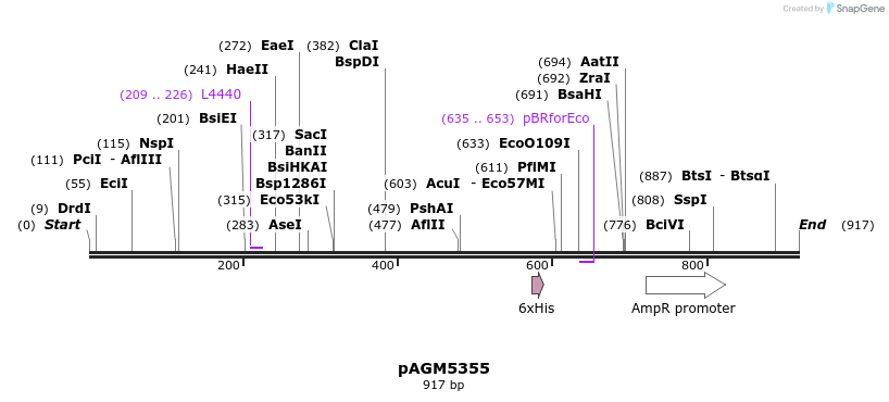 76494_map