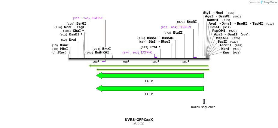 76499_map