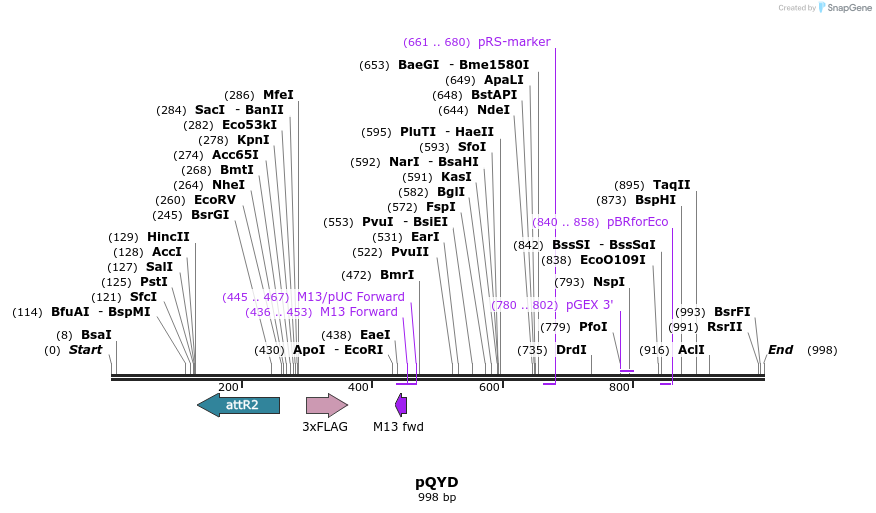 76503_map