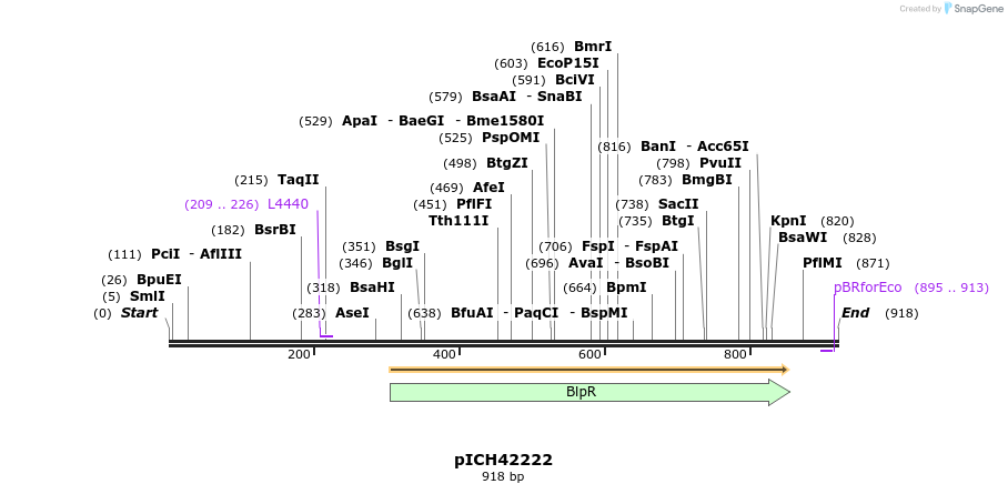 76504_map