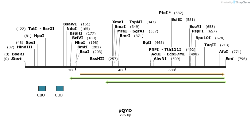 76505_map