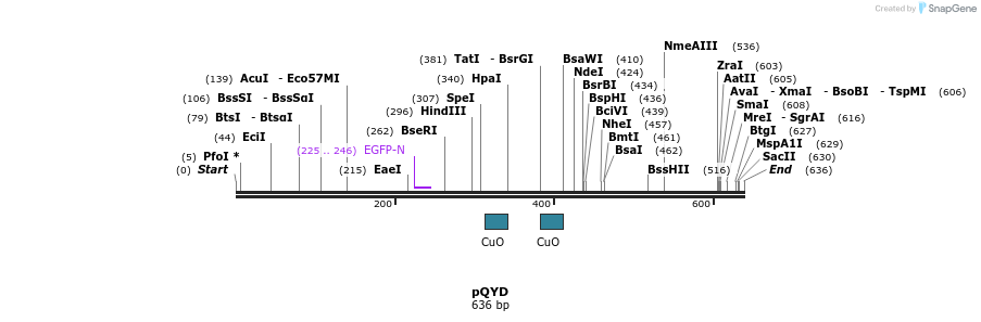 76507_map