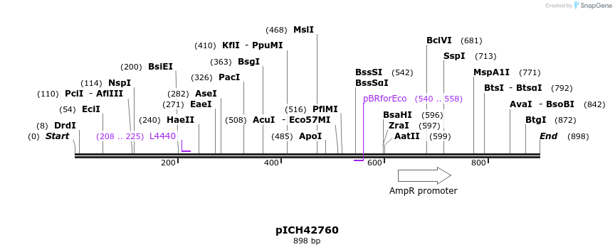 76513_map