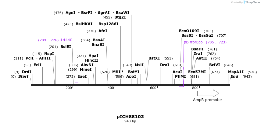 76517_map