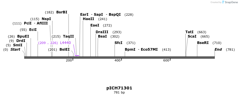 76519_map