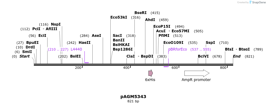 76522_map