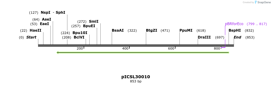 76525_map