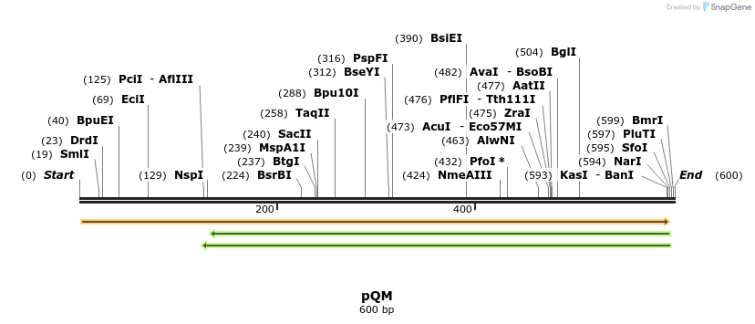 76526_map