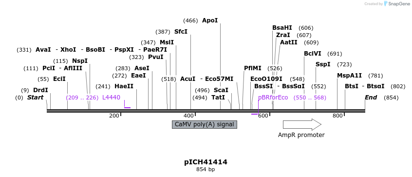 76538_map
