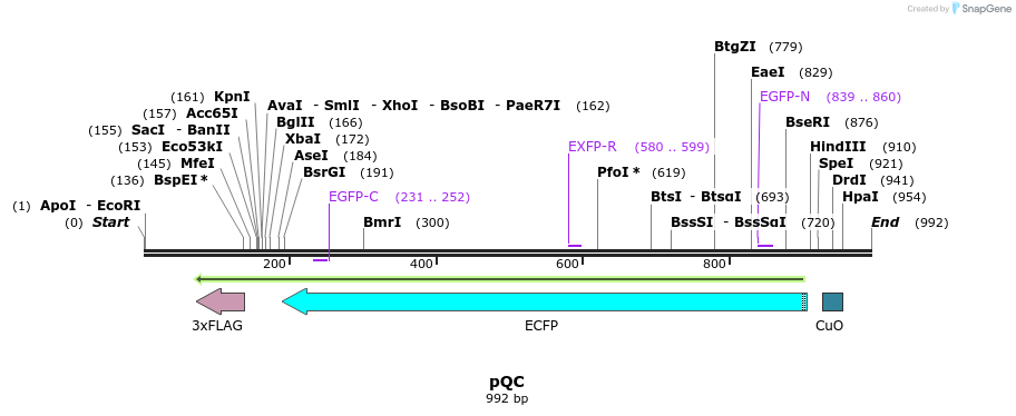 76540_map