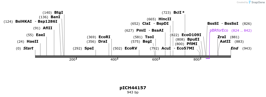 76546_map