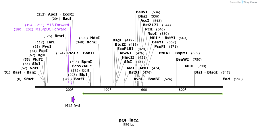 76547_map