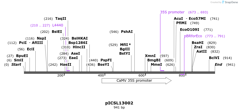 76548_map