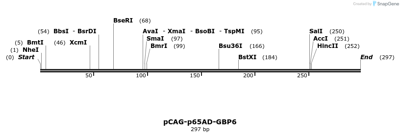 76550_map
