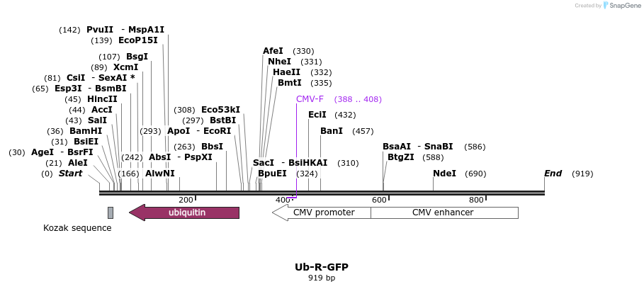 76554_map
