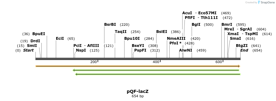 76555_map