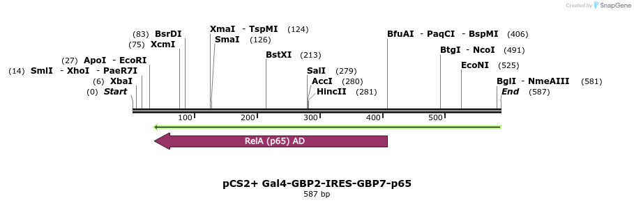 76565_map