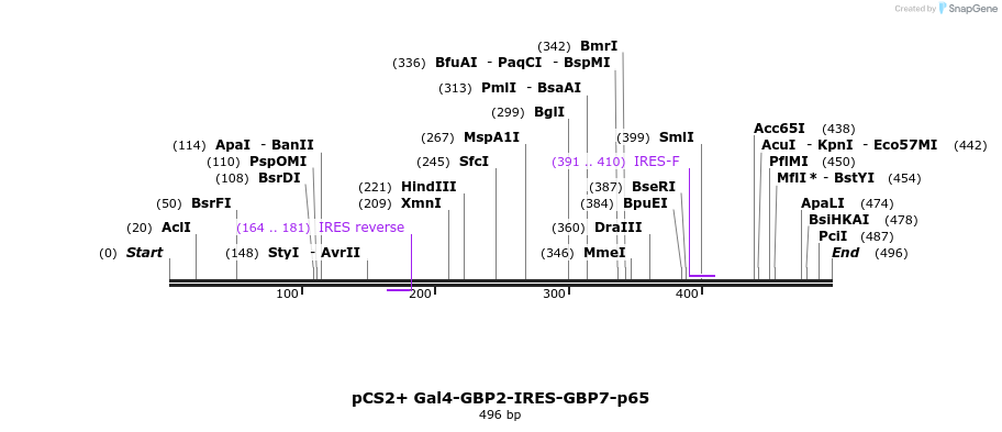 76569_map