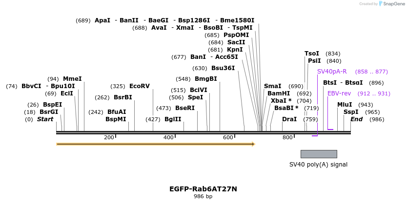 76573_map