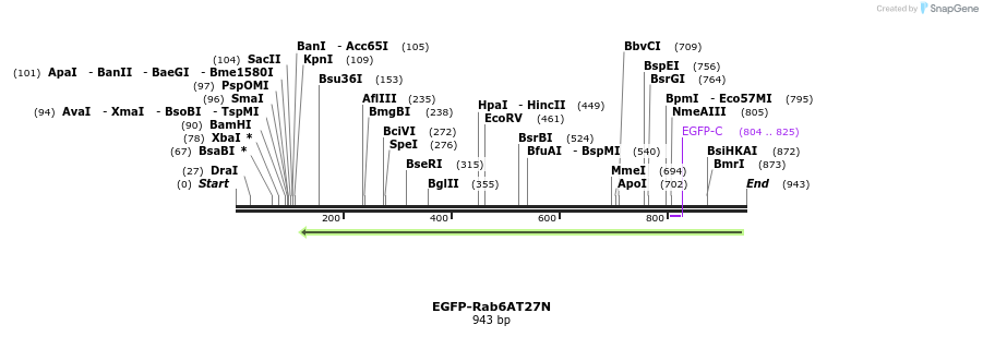 76575_map
