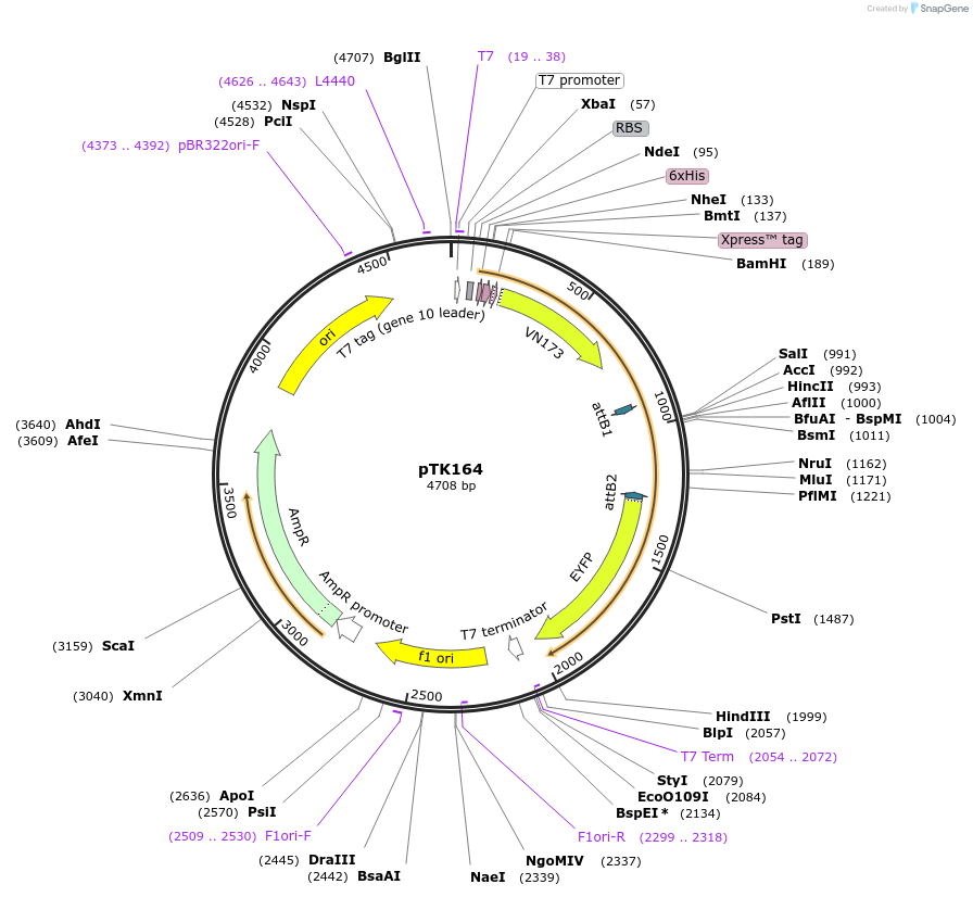 7659_map