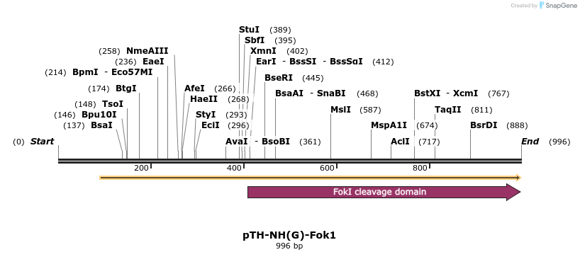 76595_map