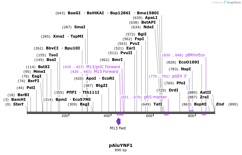 76599_map