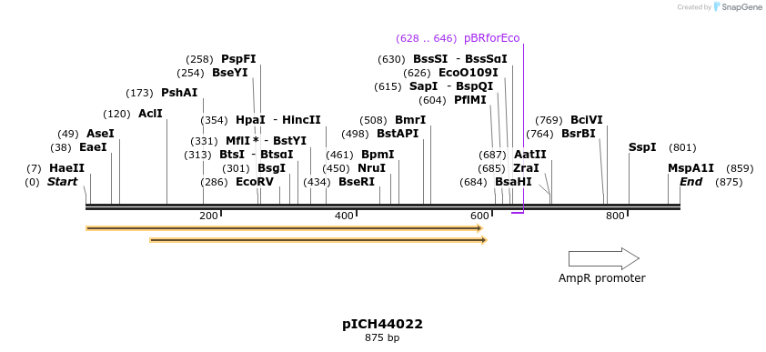76607_map