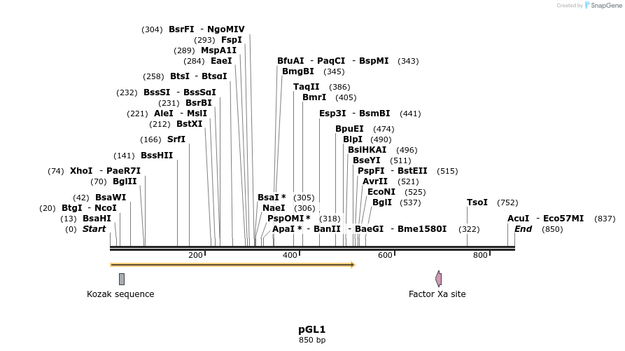 76618_map