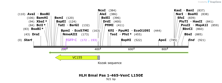 76634_map