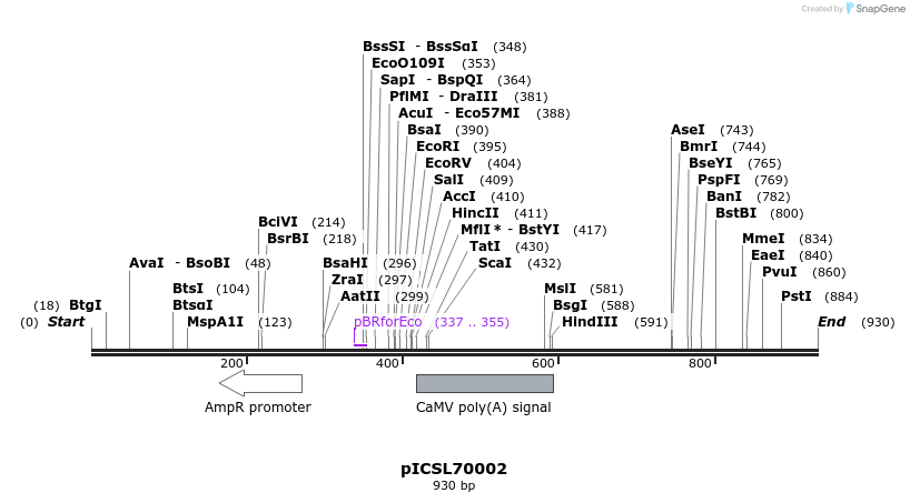 76636_map