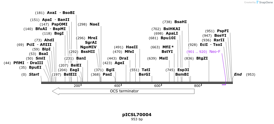 76645_map