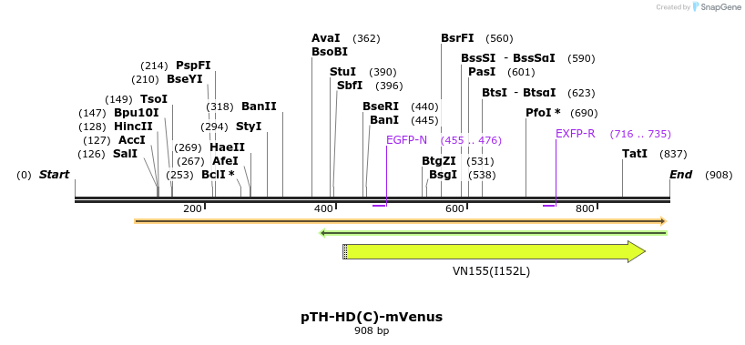 76651_map
