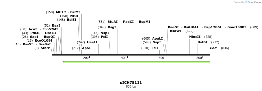 76652_map