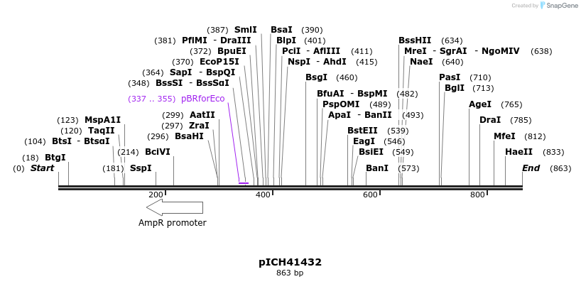 76655_map