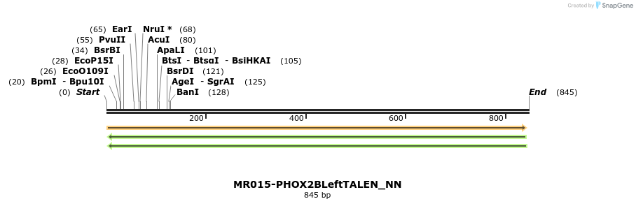 76679_map
