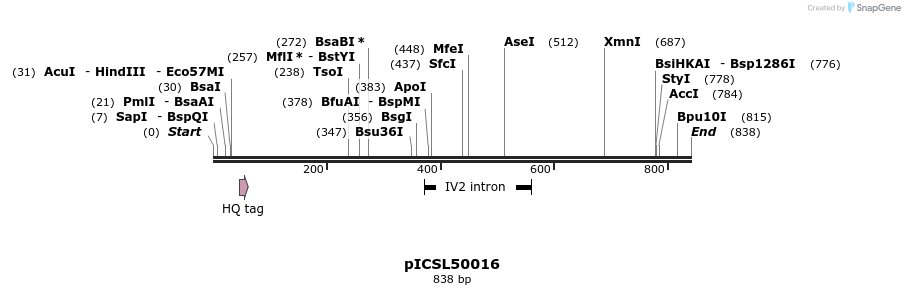 76682_map