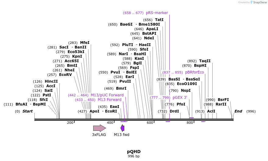 76684_map