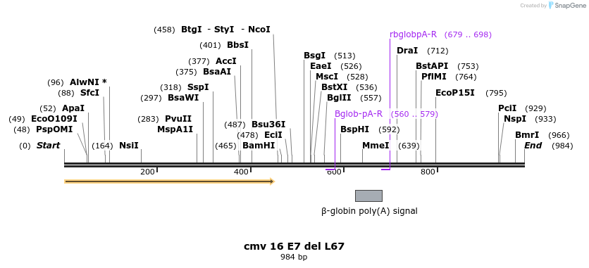 76693_map