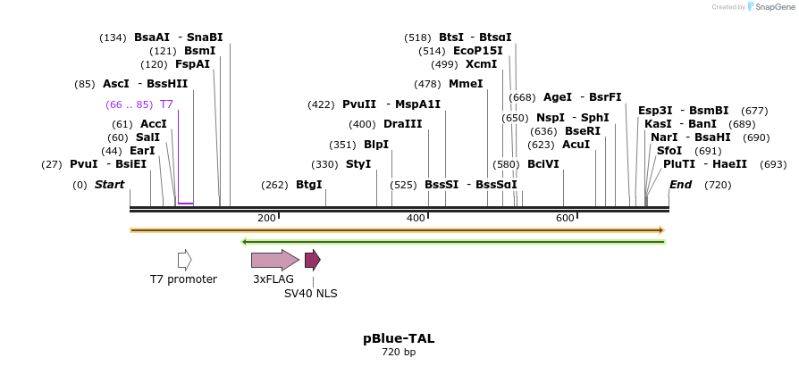 76697_map