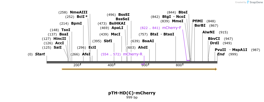 76701_map