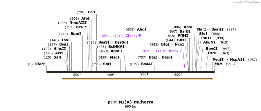 76705_map