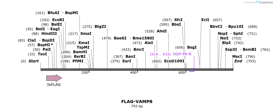 76711_map